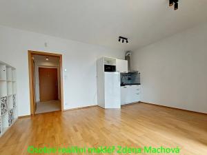 Pronájem bytu 1+kk, Praha - Žižkov, Olšanská, 41 m2
