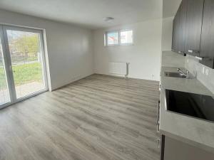 Pronájem bytu 1+kk, Heřmanova Huť, U Pondu, 34 m2