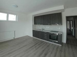 Pronájem bytu 1+kk, Heřmanova Huť, U Pondu, 34 m2