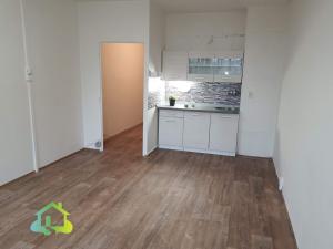 Pronájem bytu 1+kk, Liberec, Libušina, 29 m2
