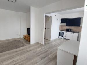 Pronájem bytu 1+kk, Cheb, Dlouhá, 42 m2