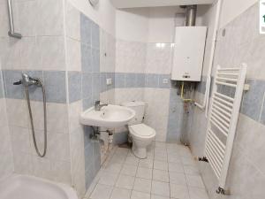 Pronájem bytu 1+kk, Cheb, Dlouhá, 42 m2