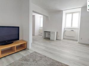 Pronájem bytu 1+kk, Cheb, Dlouhá, 42 m2