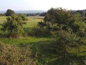 Prodej pozemku pro bydlení, Pěnčín, 2538 m2