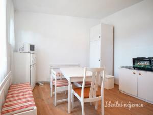 Pronájem bytu 1+1, Brno - Husovice, Horymírova, 45 m2