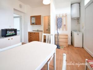 Pronájem bytu 1+1, Brno - Husovice, Horymírova, 45 m2