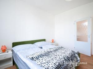 Pronájem bytu 1+1, Brno - Husovice, Horymírova, 45 m2