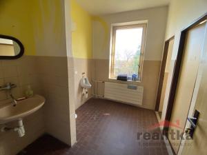 Prodej obchodního prostoru, Brumovice, Hlavní, 814 m2
