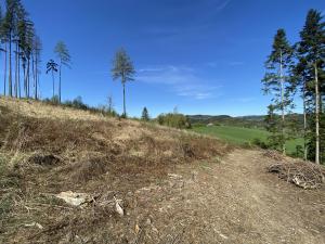 Prodej lesa, Liptál, 12261 m2