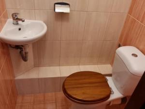 Pronájem bytu 2+1, Bruntál, Dolní, 56 m2