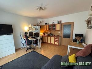 Pronájem bytu 1+kk, Praha - Hloubětín, Nepelova, 45 m2