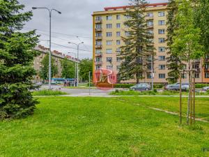 Prodej bytu 3+1, Ostrava, Sokolovská, 73 m2