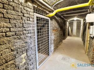 Prodej bytu 1+kk, Praha - Karlín, Sokolovská, 21 m2