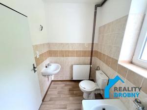 Pronájem bytu 1+1, Děčín, Družstevní, 30 m2