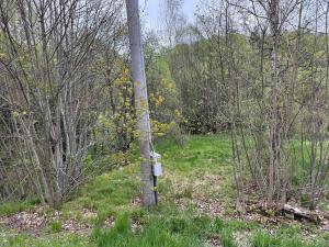 Prodej komerčního pozemku, Horní Vltavice, 14058 m2