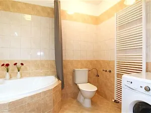 Pronájem bytu 2+kk, Praha - Vinohrady, Moravská, 70 m2