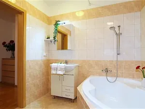 Pronájem bytu 2+kk, Praha - Vinohrady, Moravská, 70 m2