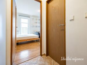 Pronájem bytu 1+kk, Šestajovice, Komenského, 25 m2