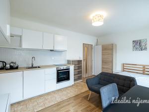 Pronájem bytu 1+kk, Šestajovice, Komenského, 25 m2