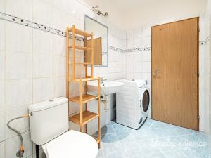 Pronájem bytu 1+kk, Šestajovice, Komenského, 25 m2