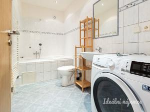 Pronájem bytu 1+kk, Šestajovice, Komenského, 25 m2