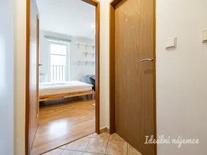 Pronájem bytu 1+kk, Šestajovice, Komenského, 25 m2