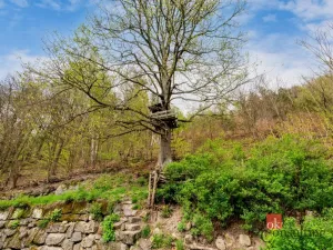 Prodej rodinného domu, Prysk - Dolní Prysk, 137 m2