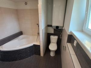 Pronájem bytu 3+kk, Hodonín, Březinova, 60 m2