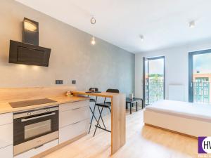 Pronájem bytu 1+kk, Praha - Žižkov, Olšanská, 35 m2