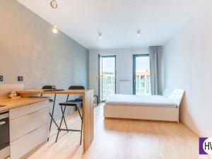Pronájem bytu 1+kk, Praha - Žižkov, Olšanská, 35 m2