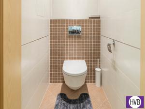 Pronájem bytu 1+kk, Praha - Žižkov, Olšanská, 35 m2