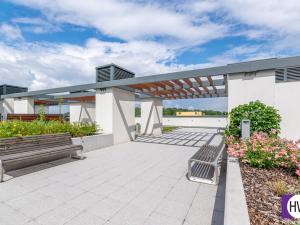 Pronájem bytu 1+kk, Praha - Žižkov, Olšanská, 35 m2