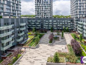 Pronájem bytu 1+kk, Praha - Žižkov, Olšanská, 35 m2