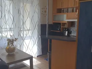 Pronájem bytu 1+kk, Ostrava, Resslova, 33 m2
