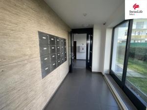 Pronájem bytu 1+kk, Brno, Karla Kryla, 34 m2