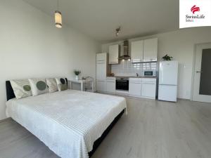 Pronájem bytu 1+kk, Brno, Karla Kryla, 34 m2