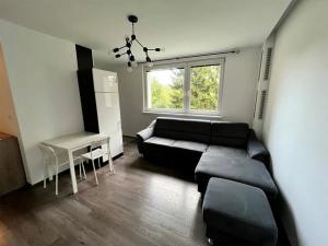 Pronájem bytu 2+kk, Liberec, Vlnařská, 44 m2