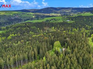 Prodej pozemku pro bydlení, Rokytnice v Orlických horách, 2170 m2