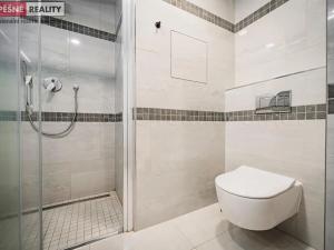 Prodej bytu 1+kk, Praha - Radlice, Lučištníků, 33 m2