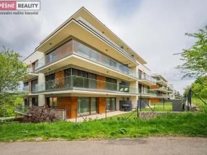 Prodej bytu 1+kk, Praha - Radlice, Lučištníků, 33 m2