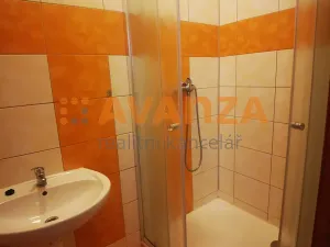Pronájem bytu 1+kk, Děčín, Kamenická, 75 m2