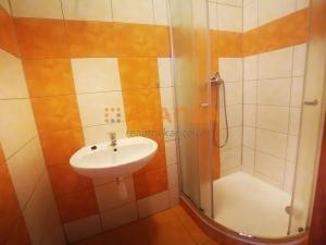 Pronájem bytu 1+kk, Děčín, Kamenická, 75 m2