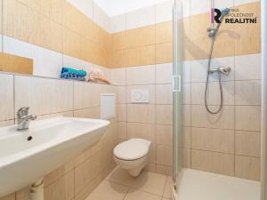 Prodej bytu 2+1, Brno - Veveří, Smetanova, 65 m2