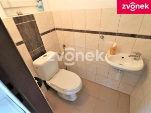 Prodej chaty, Valašské Klobouky, 40 m2