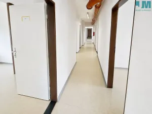 Prodej obchodního prostoru, Třebíč - Borovina, 560 m2