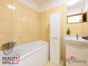 Prodej bytu 2+kk, Plzeň - Bolevec, U Velkého rybníka, 59 m2