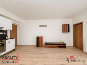 Prodej bytu 2+kk, Plzeň - Bolevec, U Velkého rybníka, 59 m2