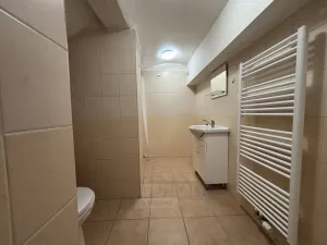 Pronájem bytu 1+1, České Budějovice - České Budějovice 4, Dobrovodská, 41 m2