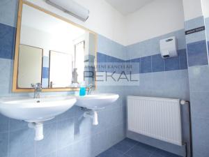 Prodej ubytování, Mikulášovice - Tomášov, 17000 m2