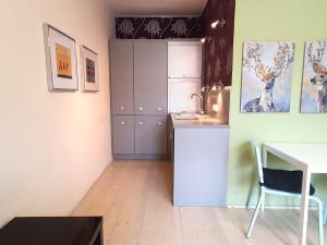 Pronájem bytu 2+kk, Praha - Vinohrady, Slezská, 50 m2